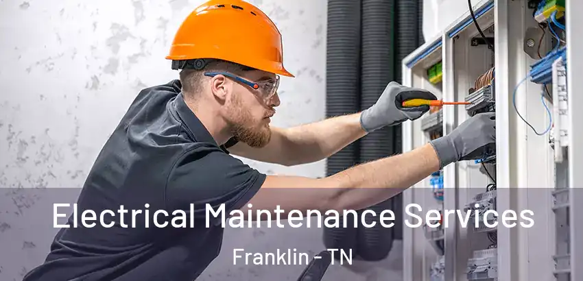 Electrical Maintenance Services Franklin - TN
